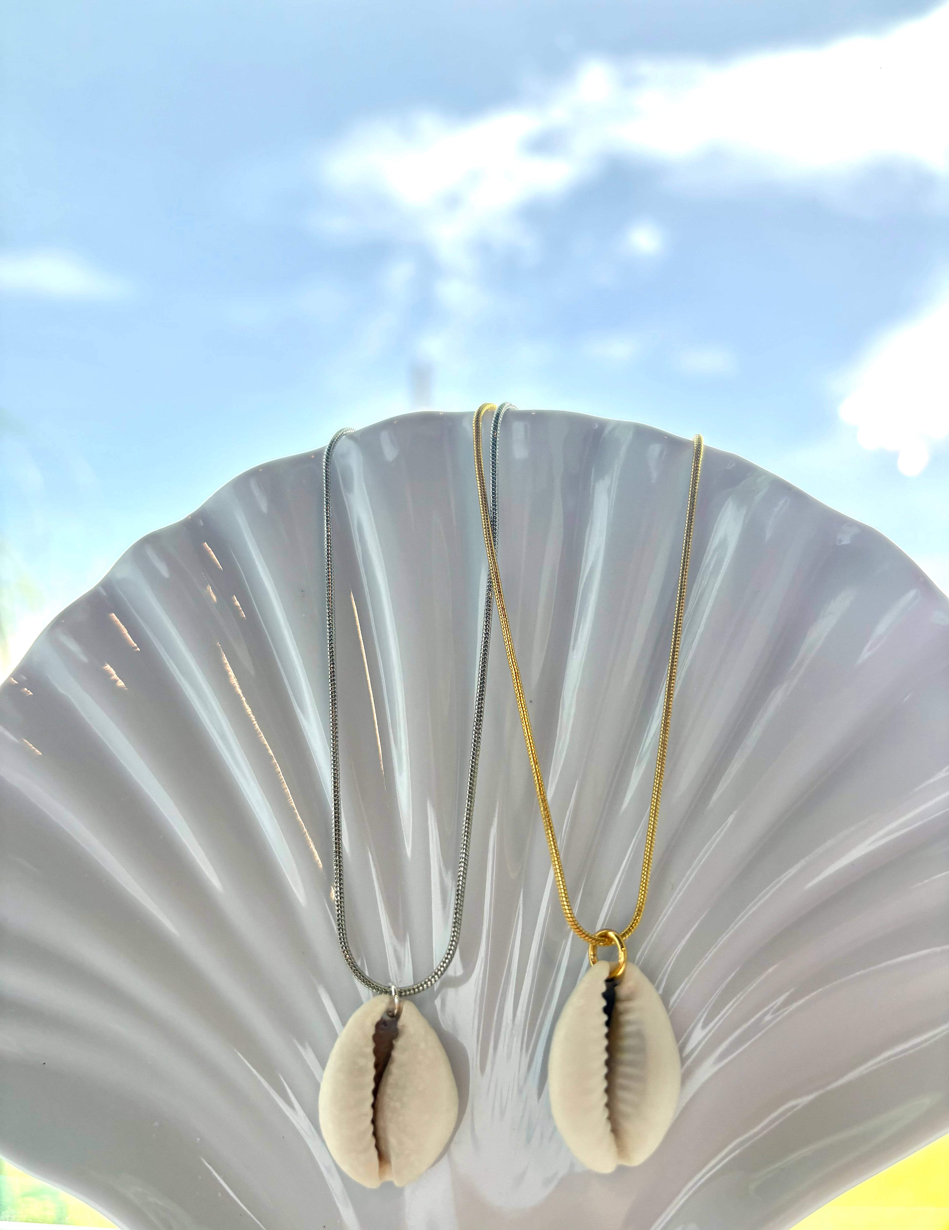 Cowrie shell necklace